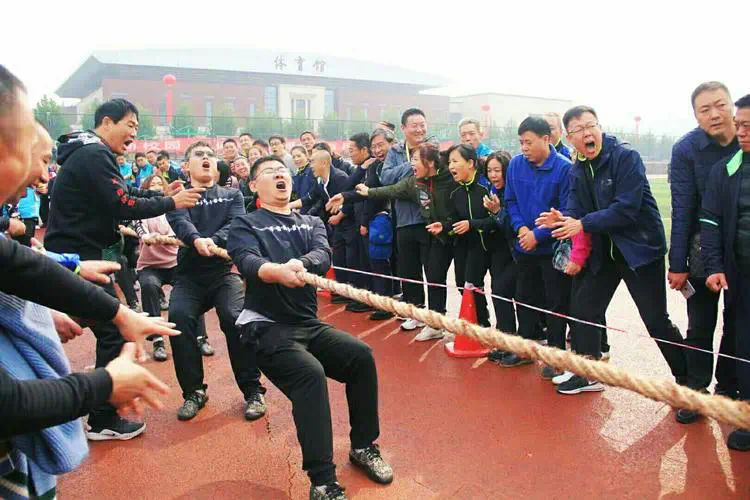 乒乓球台发球要求规定多高