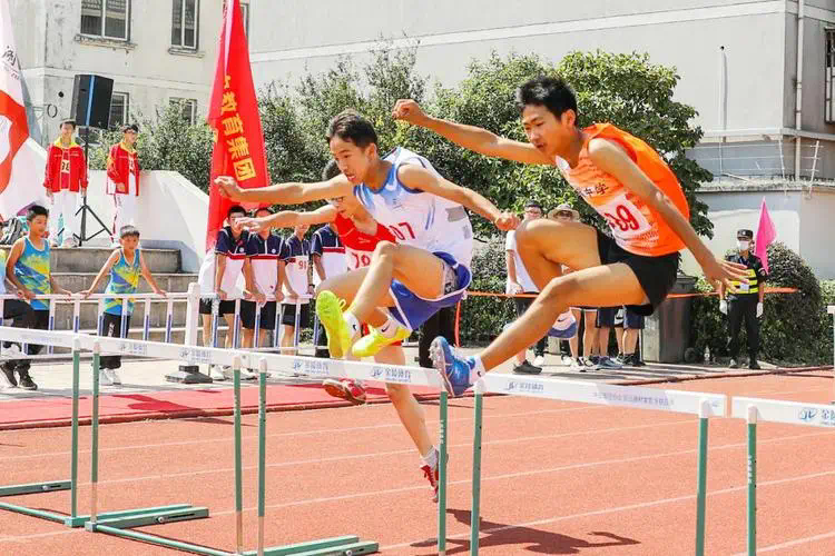 第五人格网球拍套